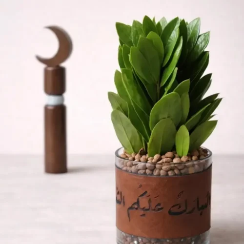 هدية نبتة الزاميا في حوض زجاجي اسطواني مع (شريطة مبارك عليكم الشهر)-converted-from-png هدية نبتة الزاميا في حوض زجاجي اسطواني مع (شريطة مبارك عليكم الشهر)
