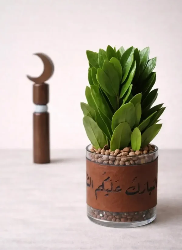 هدية نبتة الزاميا في حوض زجاجي اسطواني مع (شريطة مبارك عليكم الشهر)-converted-from-png هدية نبتة الزاميا في حوض زجاجي اسطواني مع (شريطة مبارك عليكم الشهر)