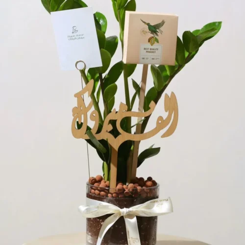 _هدية نبتة الزاميا في فازة زجاجية مع (شوكولاتة انوش + كرت اهداء + تغريسة من اختيارك)-converted-from-png هدية نبتة الزاميا في فازة زجاجية مع (شوكولاتة انوش + كرت اهداء + تغريسة من اختيارك)