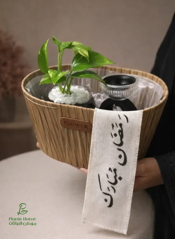 هدية نبتة بوتس في حوض زجاجي دائري مع (مبخرة + شريط رمضان مبارك) في سلّة أنيقة هدية نبتة بوتس في حوض زجاجي دائري مع (مبخرة + شريط رمضان مبارك) في سلّة أنيقة